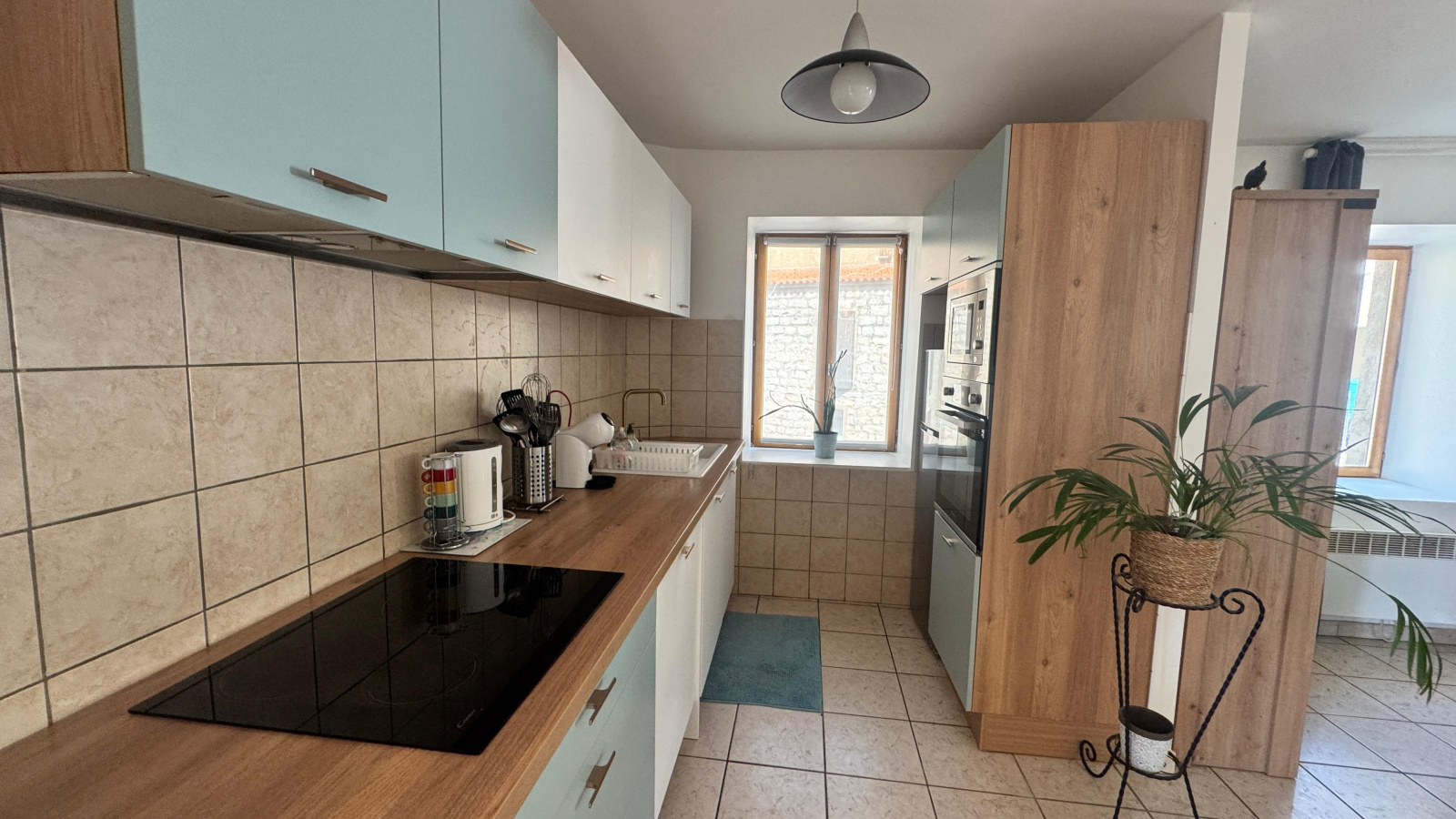 Image_, Appartement, Olmeto, ref :VENCLER