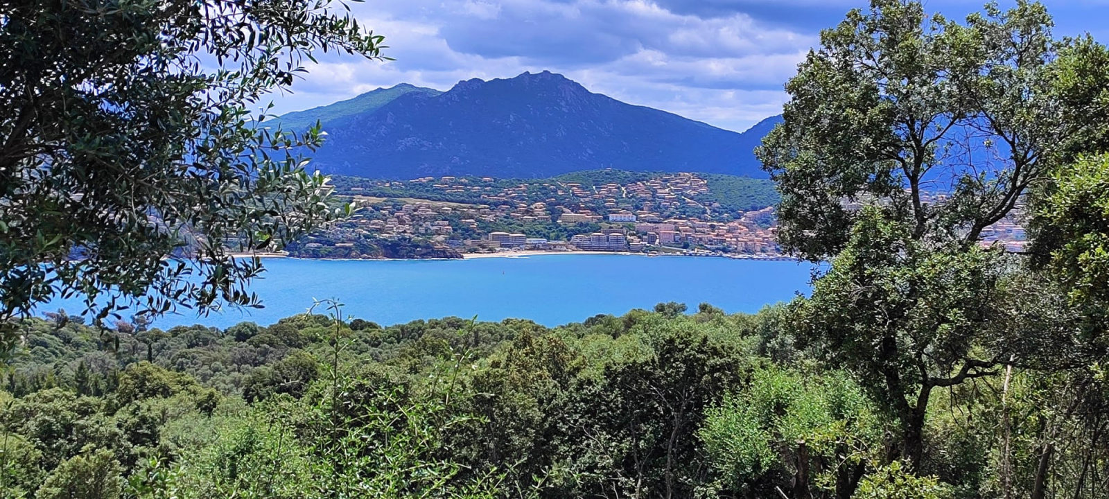 Image_, Villa, Olmeto, ref :273