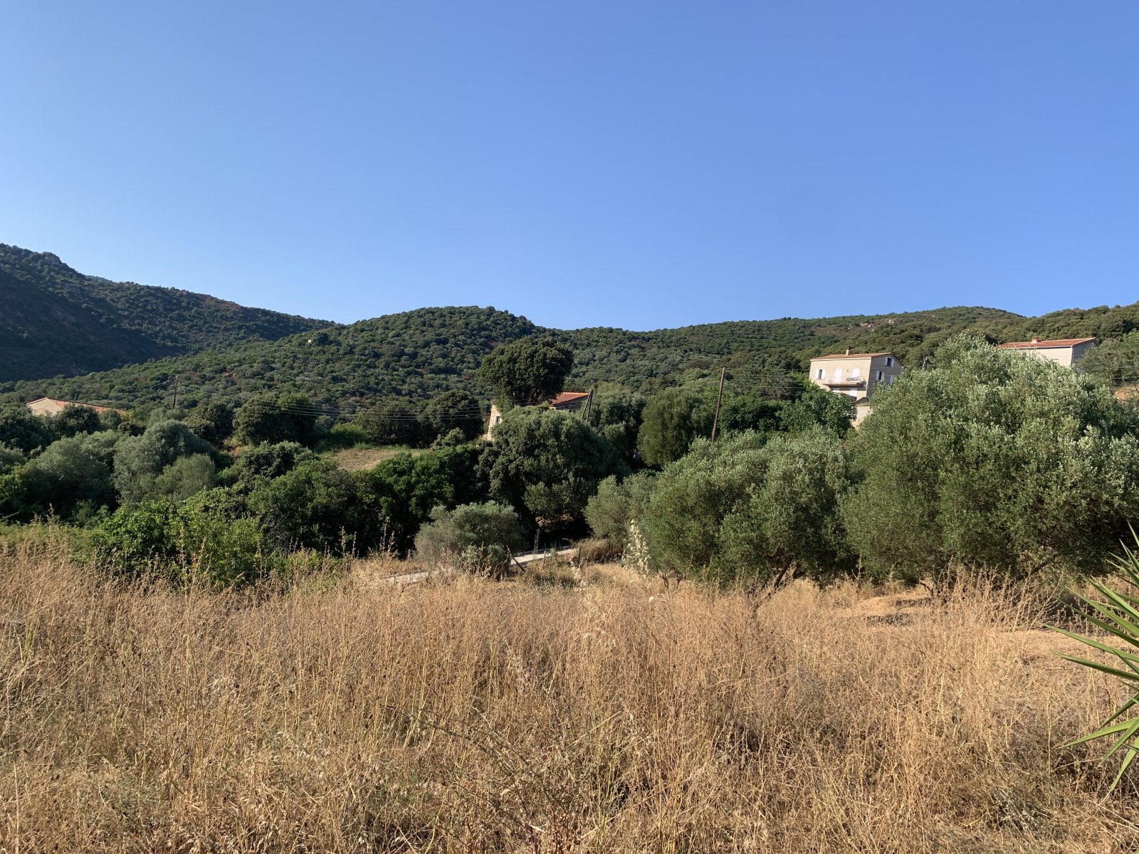 Image_, Maison, Serra-di-Ferro, ref :VEN MARCFILIP