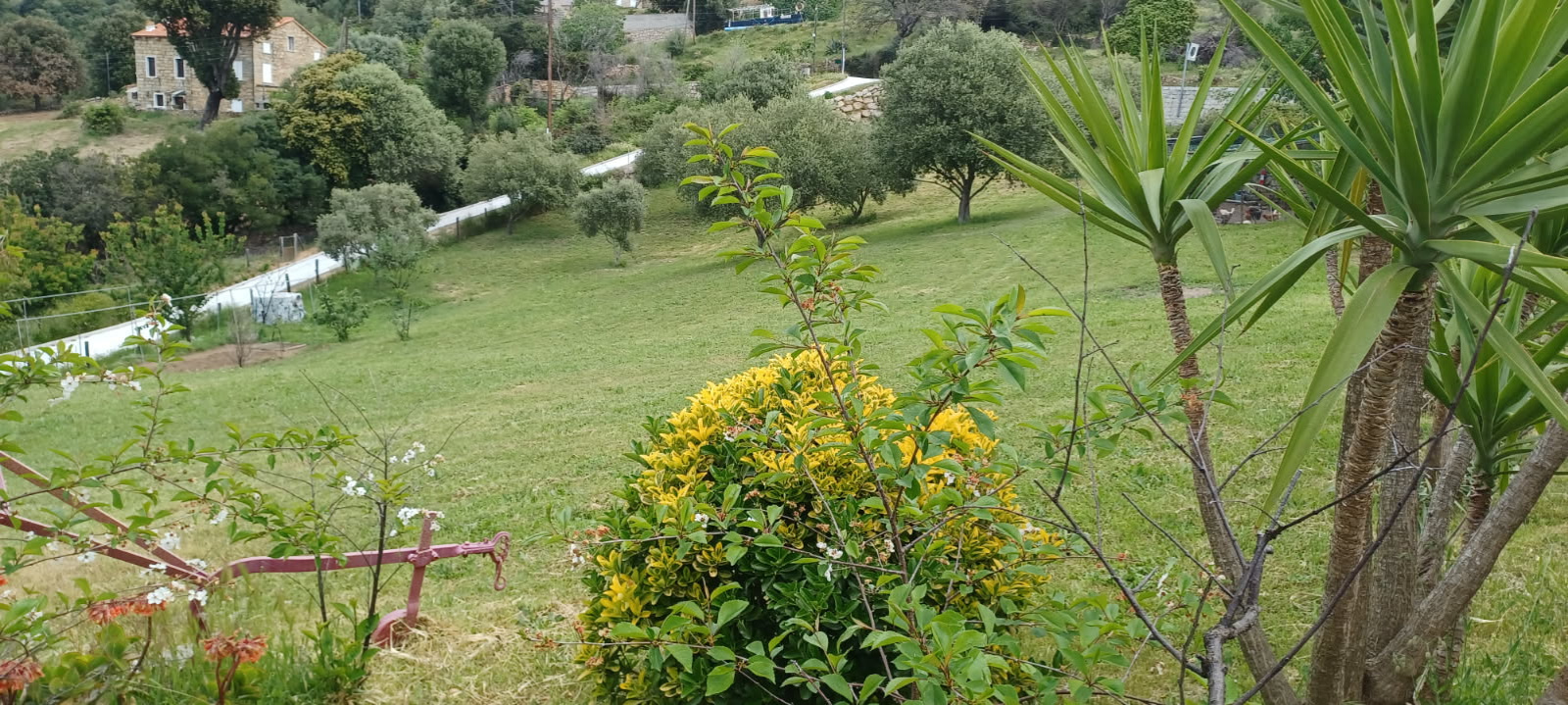Image_, Maison, Serra-di-Ferro, ref :VEN MARCFILIP