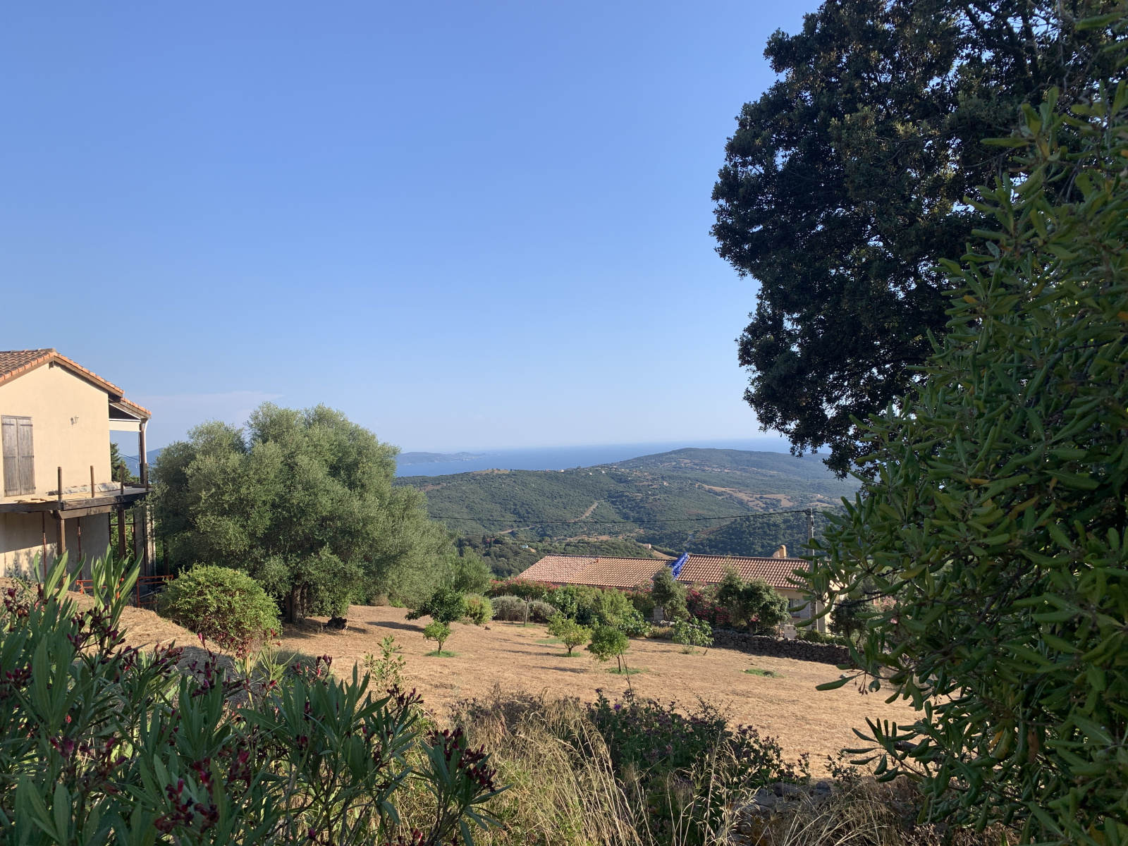 Image_, Maison, Serra-di-Ferro, ref :VEN MARCFILIP