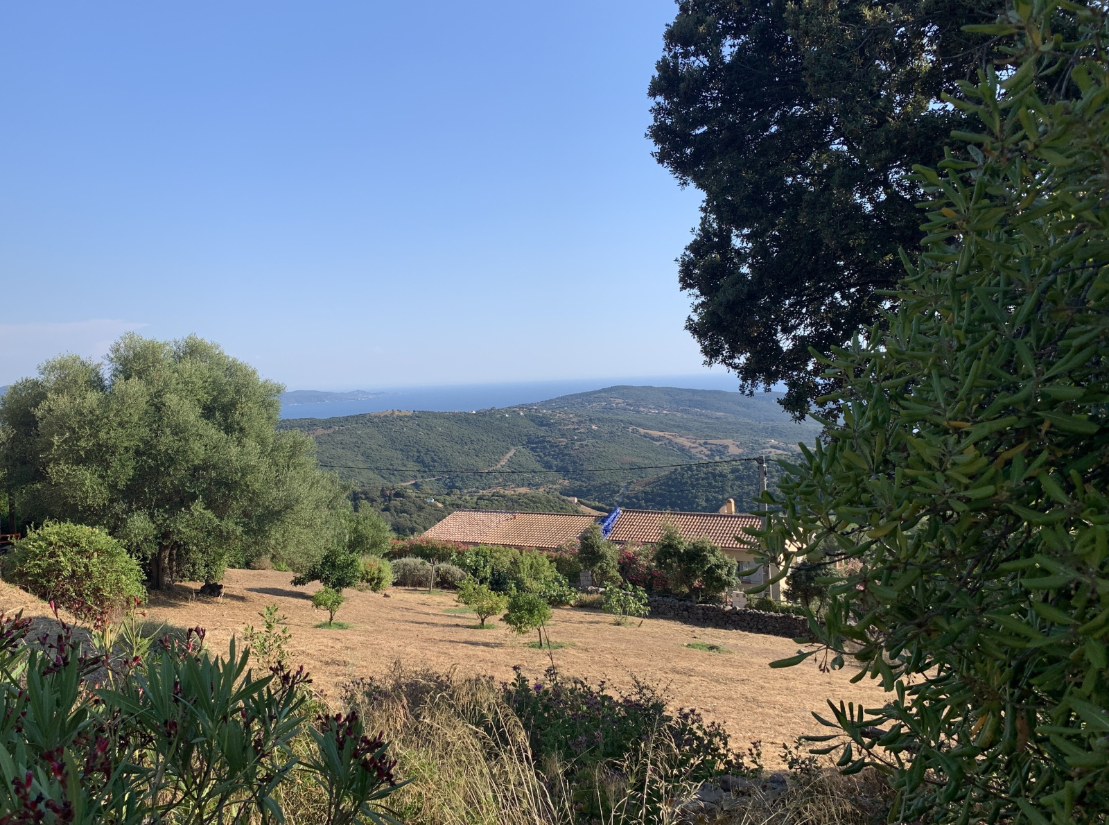 Image_, Maison, Serra-di-Ferro, ref :VEN MARCFILIP