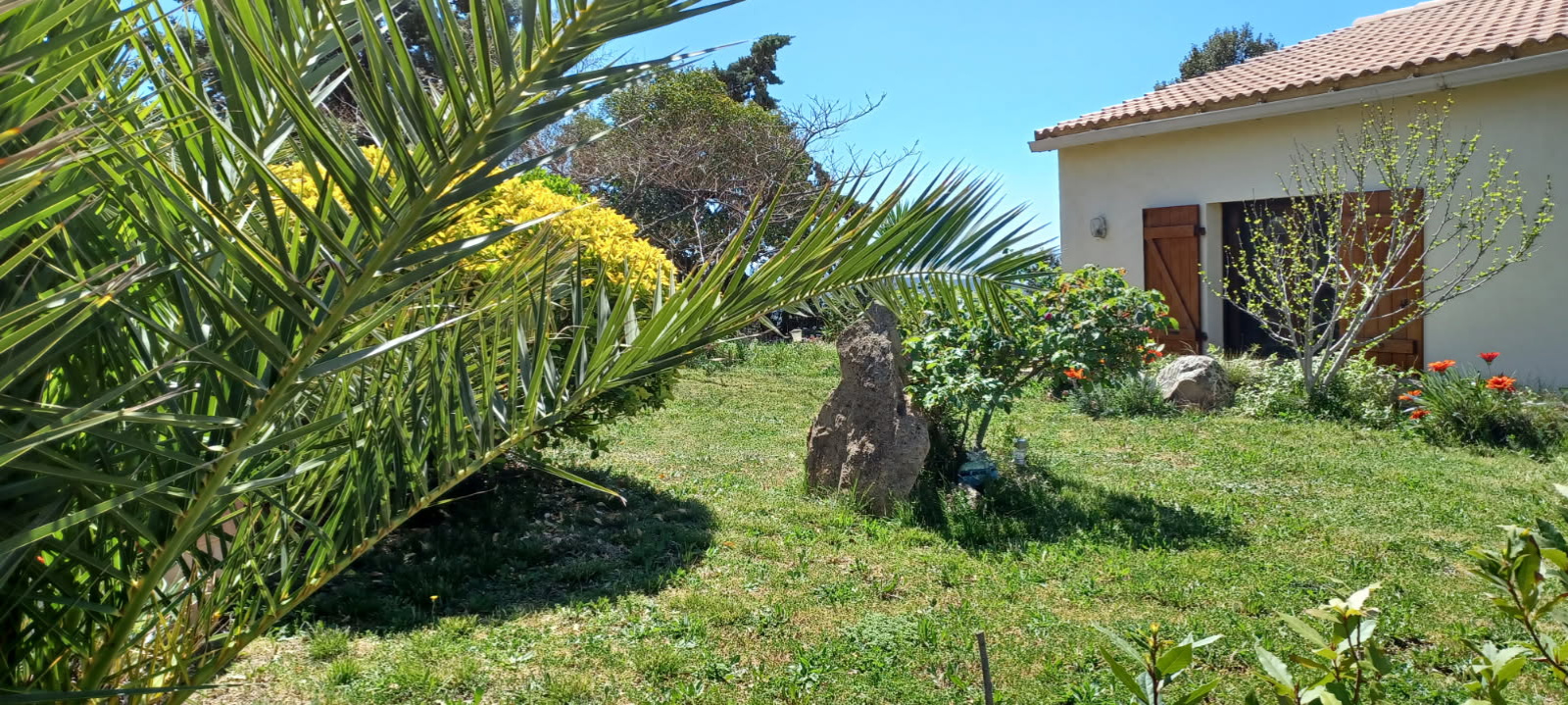 Image_, Maison, Serra-di-Ferro, ref :VEN MARCFILIP