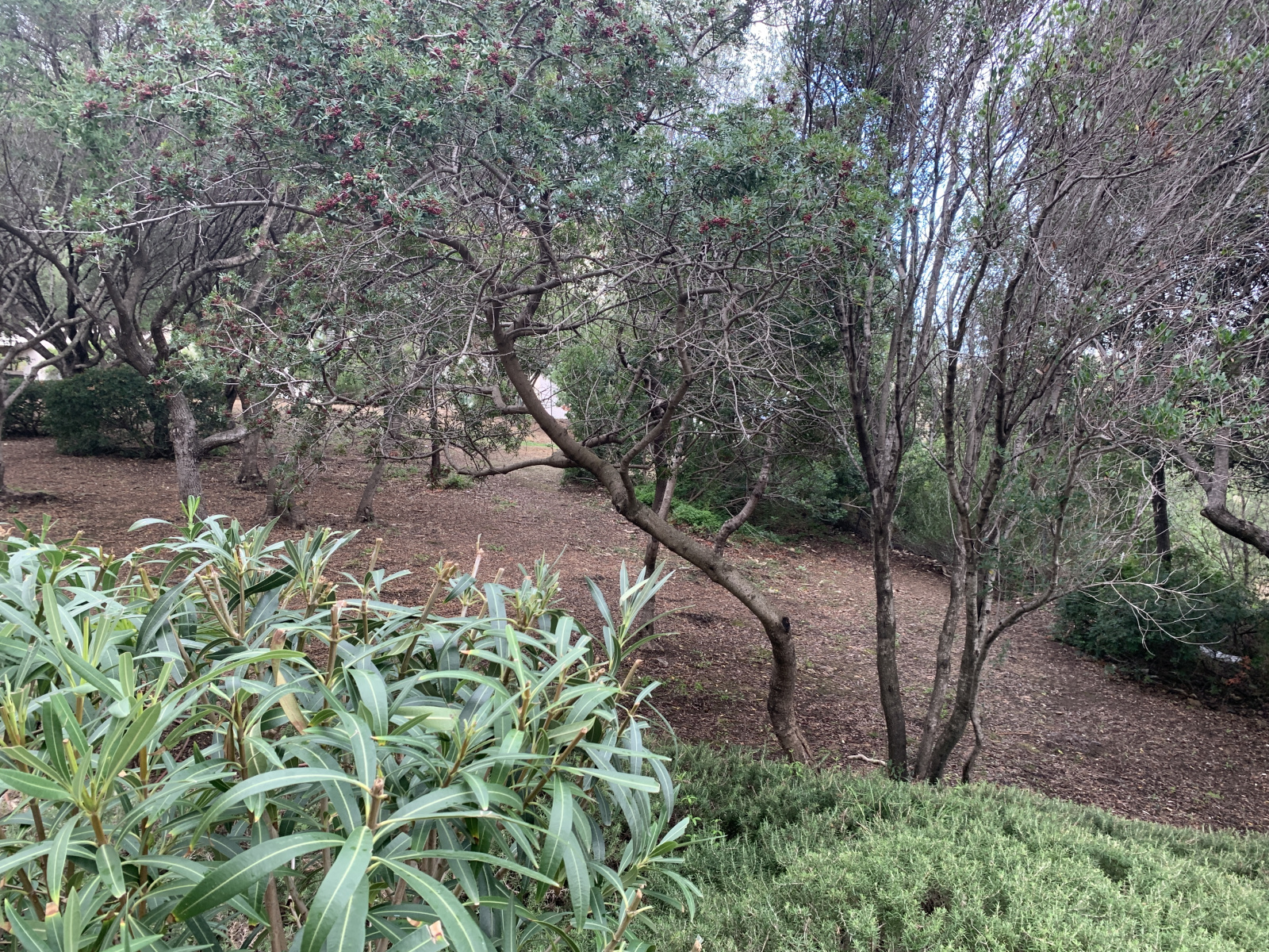 Image_, Appartement, Propriano, ref :VEN-CROUI