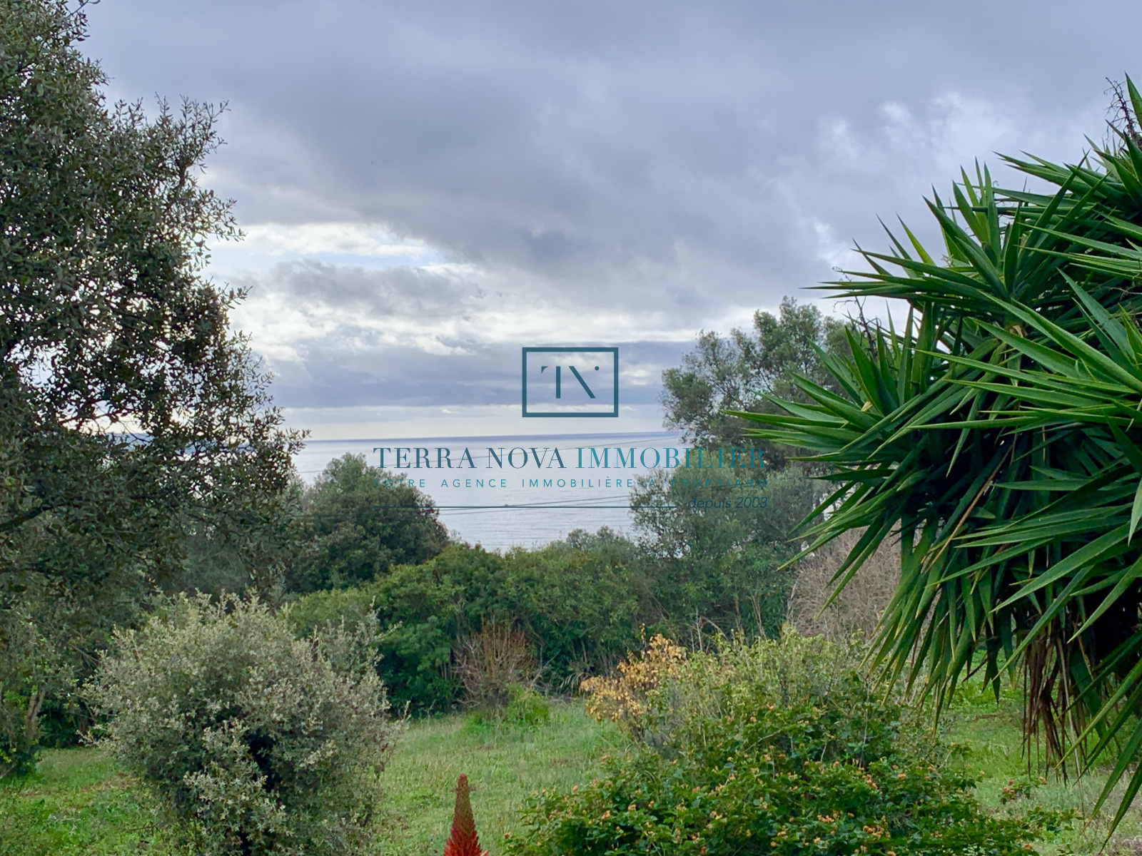 Image_, Villa, Olmeto, ref :VEN-MAL