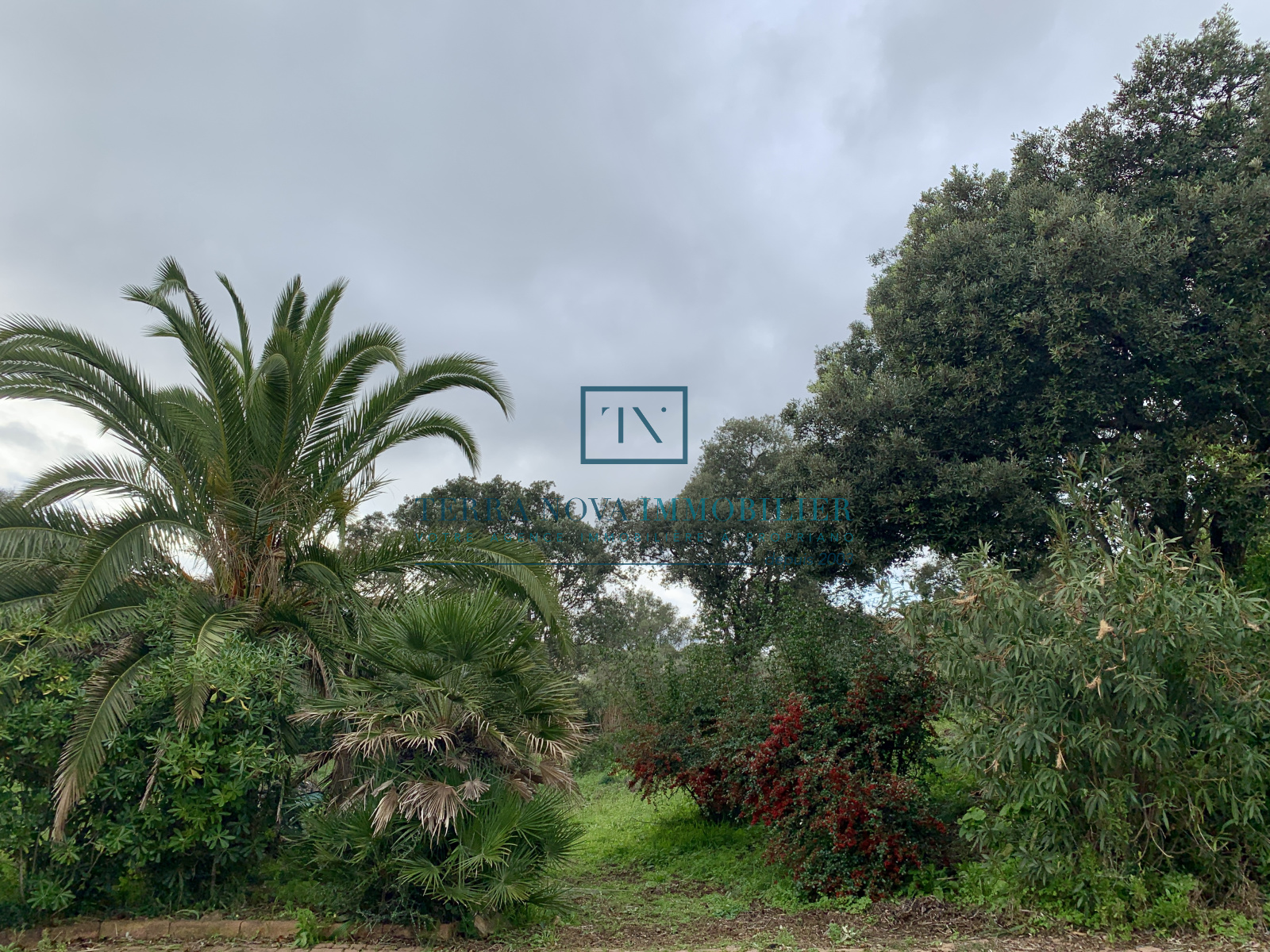 Image_, Villa, Olmeto, ref :VEN-MAL