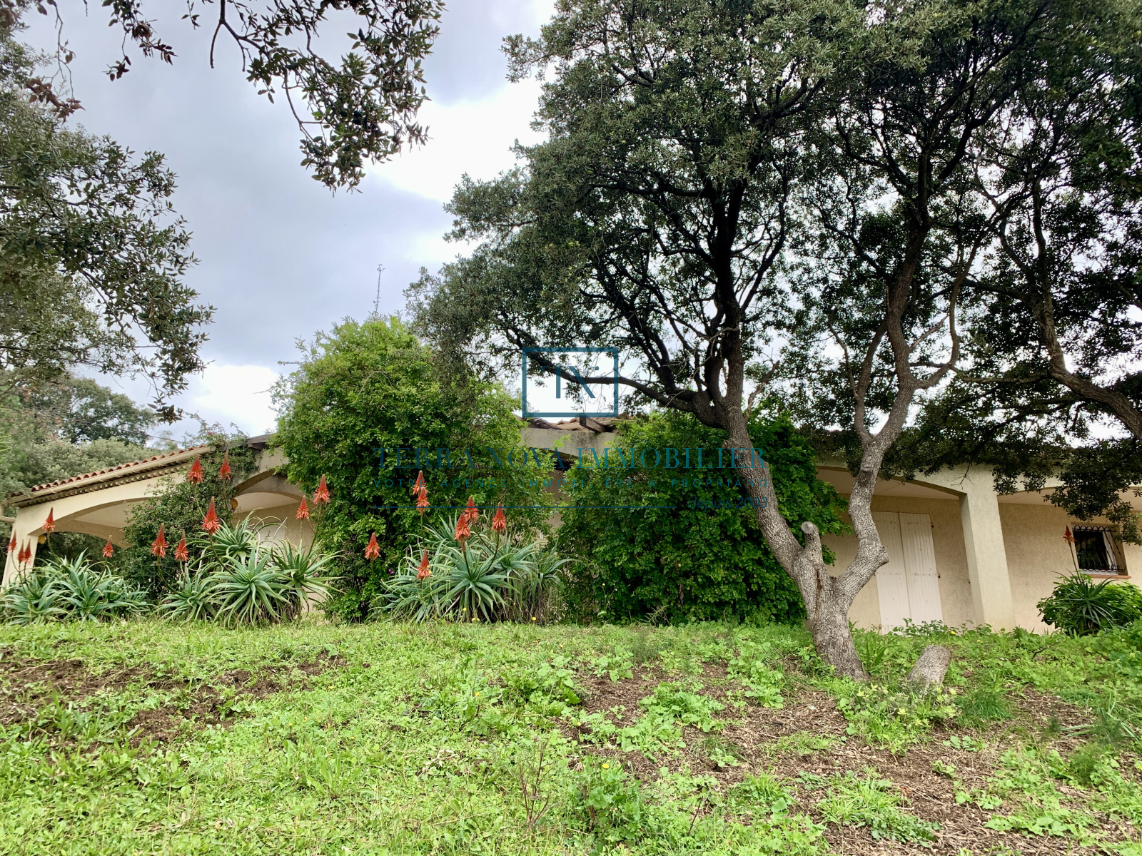 Image_, Villa, Olmeto, ref :VEN-MAL