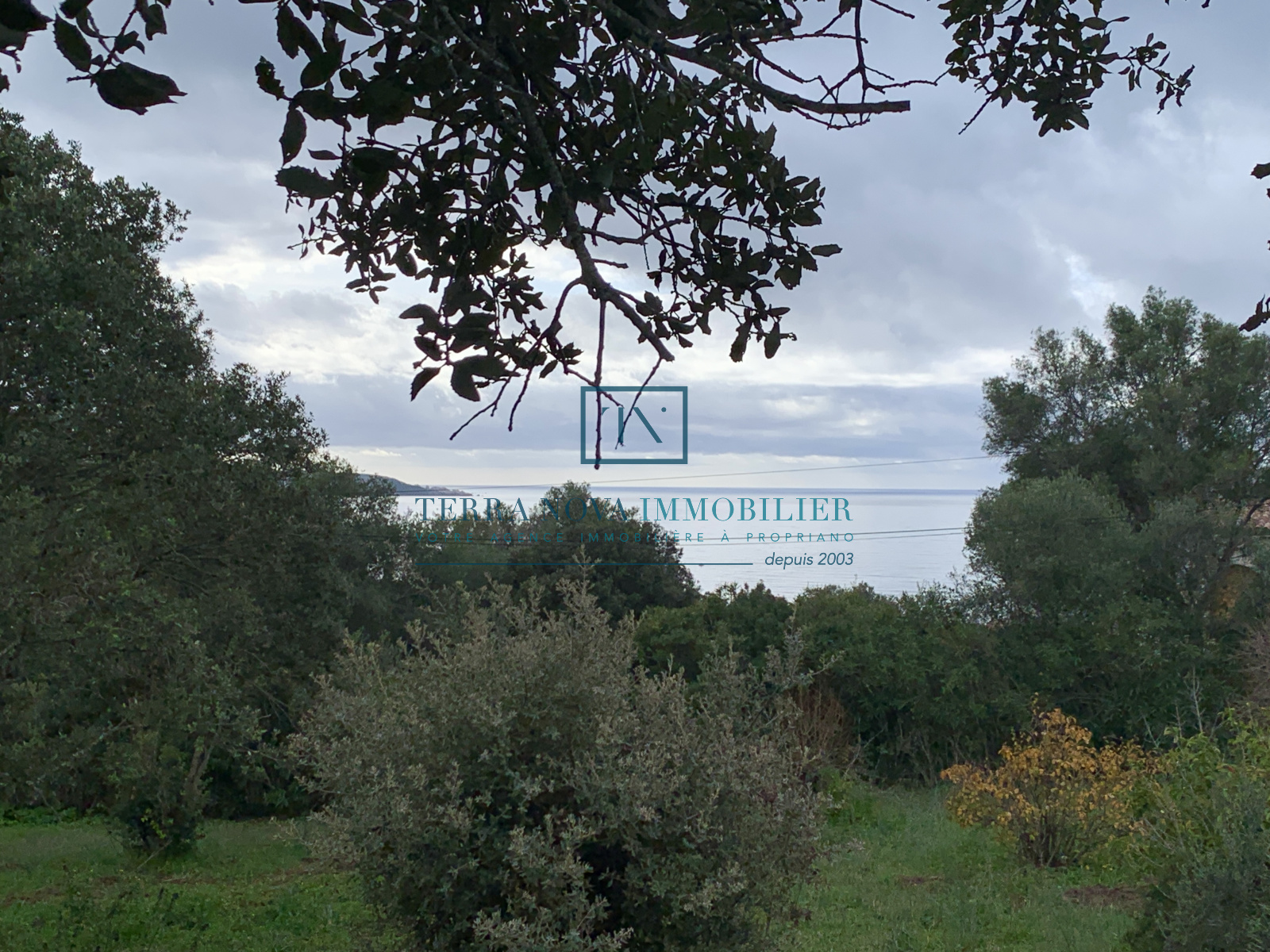 Image_, Villa, Olmeto, ref :VEN-MAL