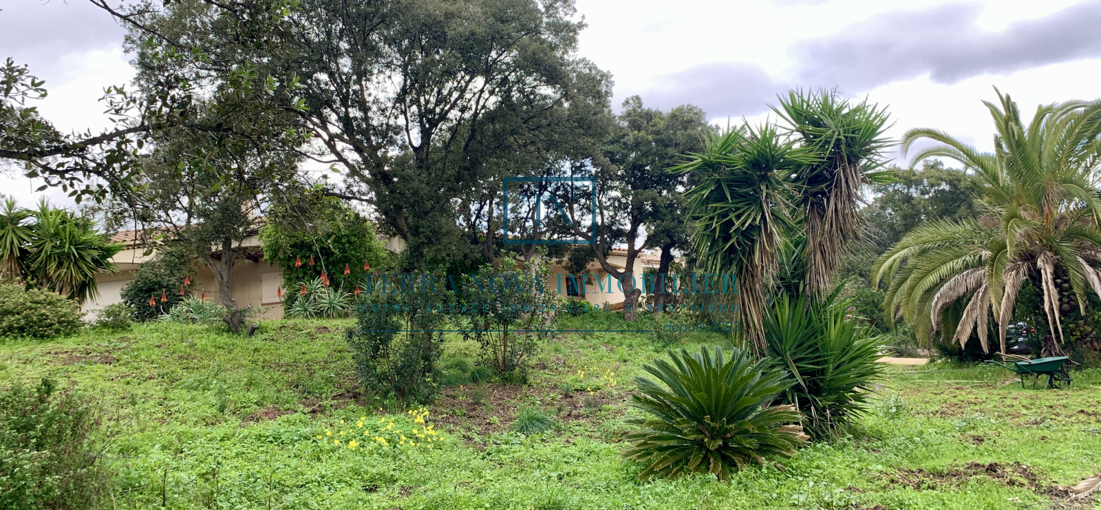 Image_, Villa, Olmeto, ref :VEN-MAL