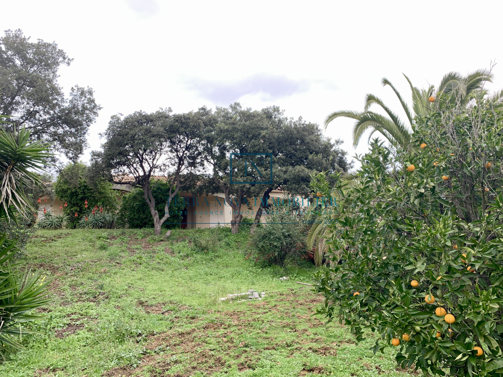 Image_, Villa, Olmeto, ref :VEN-MAL