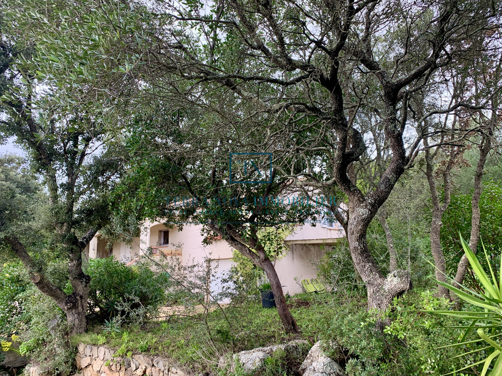 Image_, Villa, Olmeto, ref :VEN-MAL