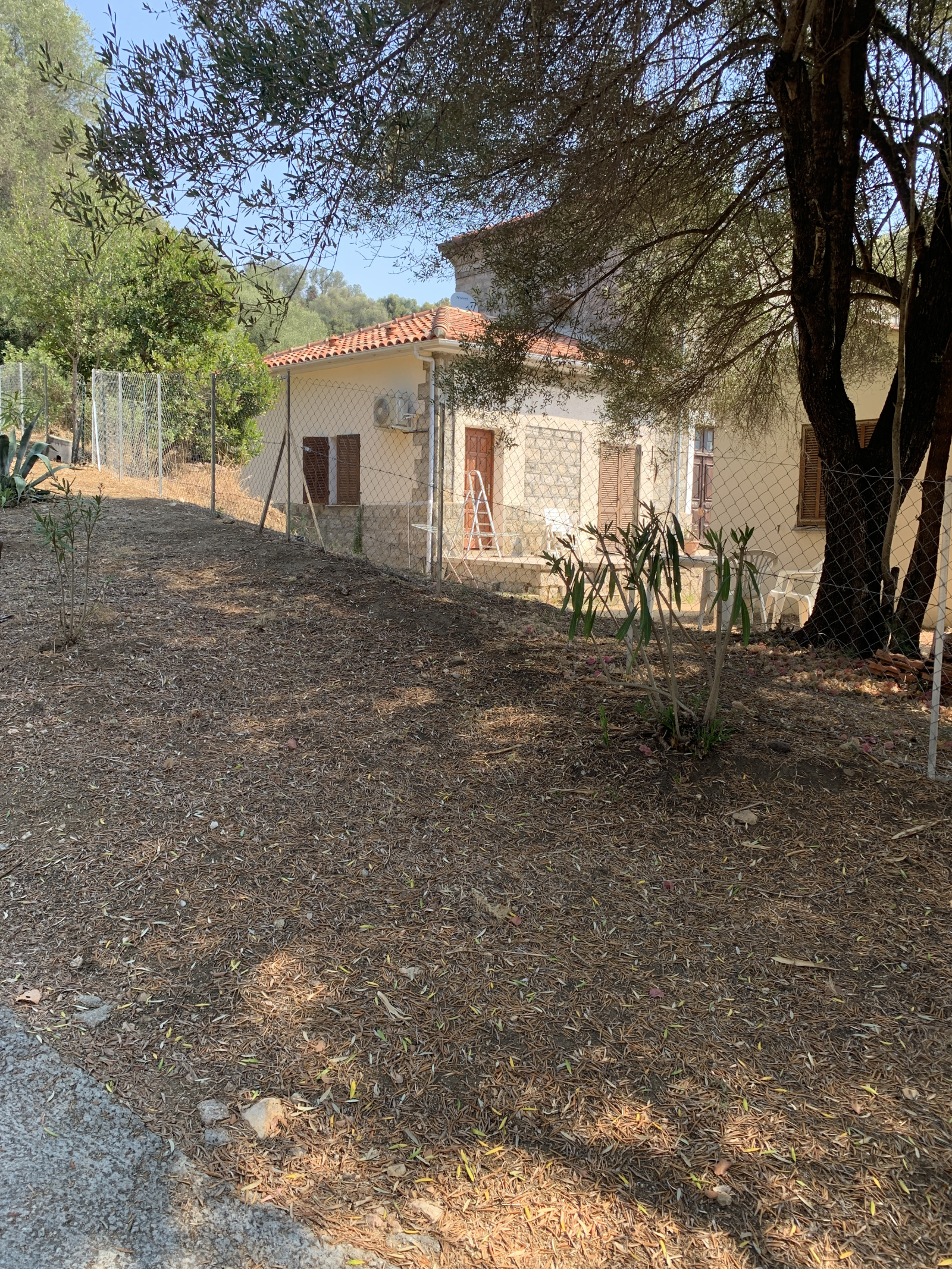 Image_, Appartement, Olmeto, ref :LOCA-LACO