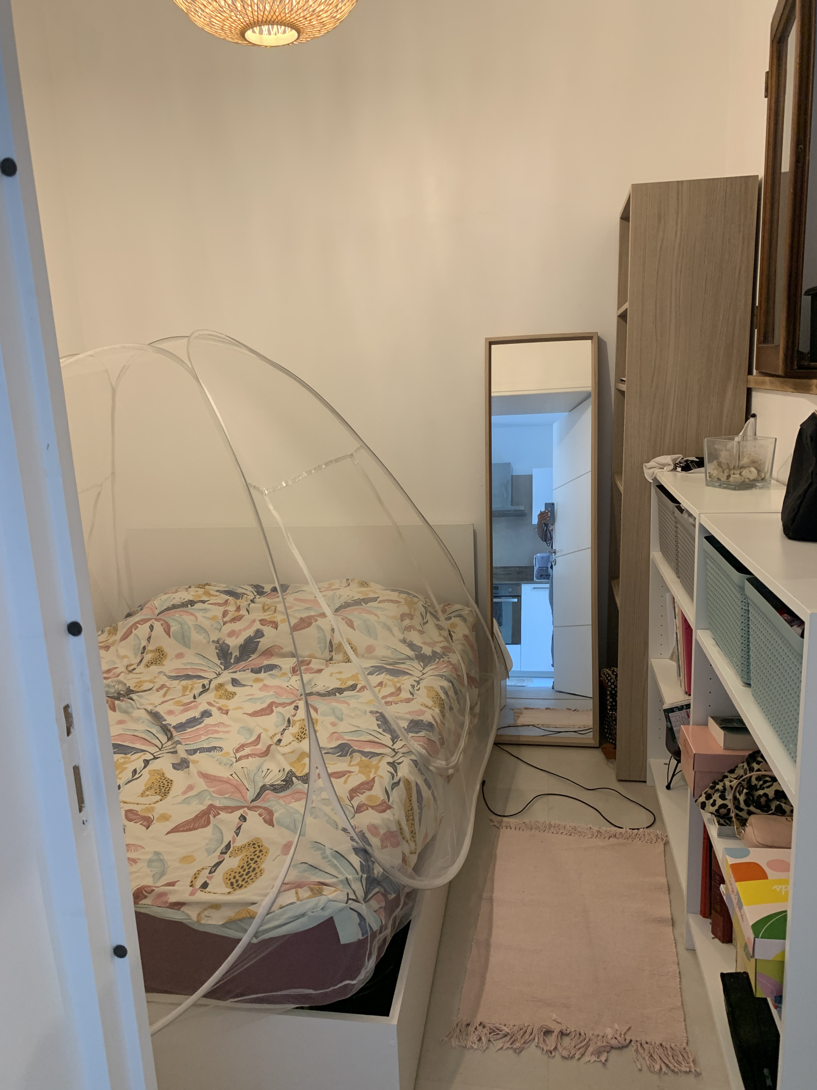 Image_, Appartement, Olmeto, ref :LOCA-LACO