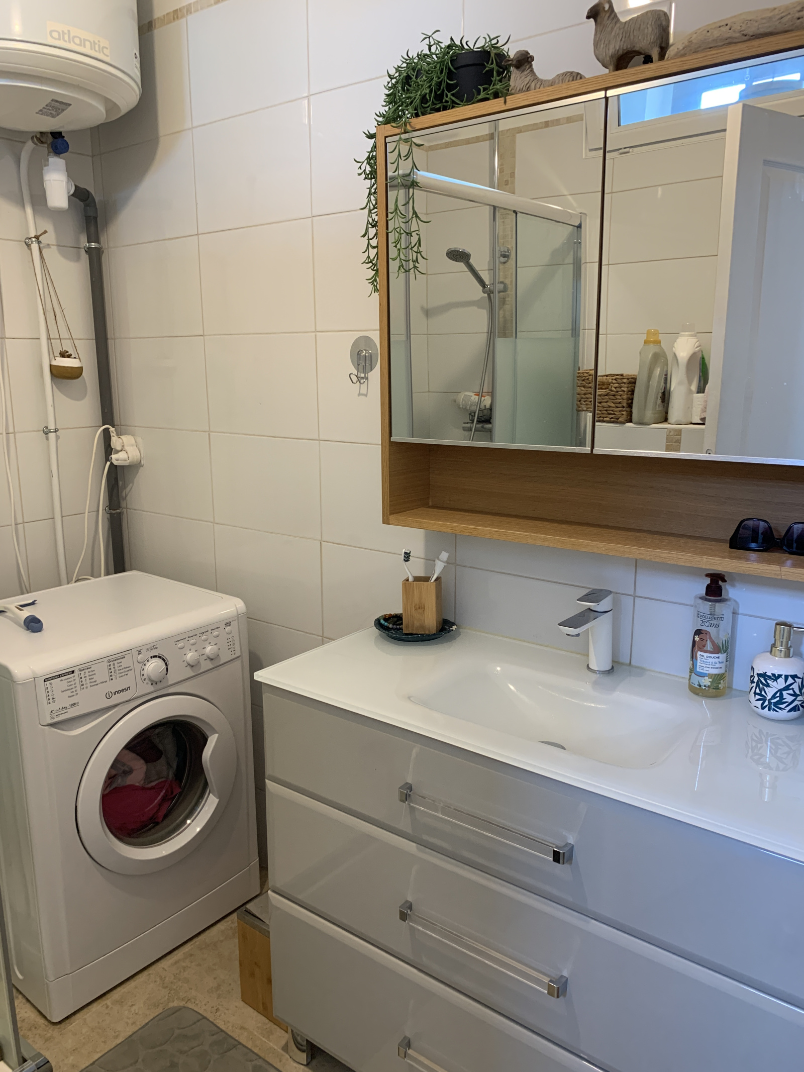Image_, Appartement, Olmeto, ref :LOCA-LACO