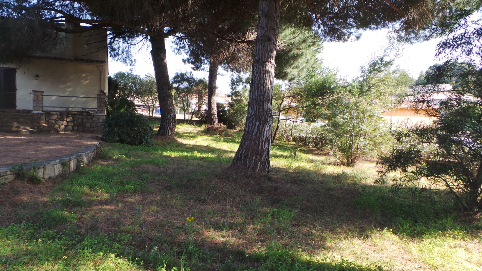 Image_, Villa, Propriano, ref :VENGAM